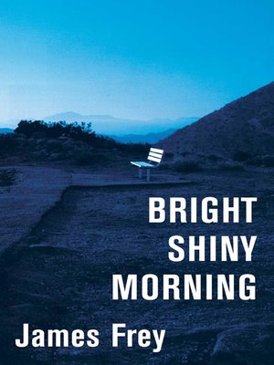 cover image of Bright Shiny Morning